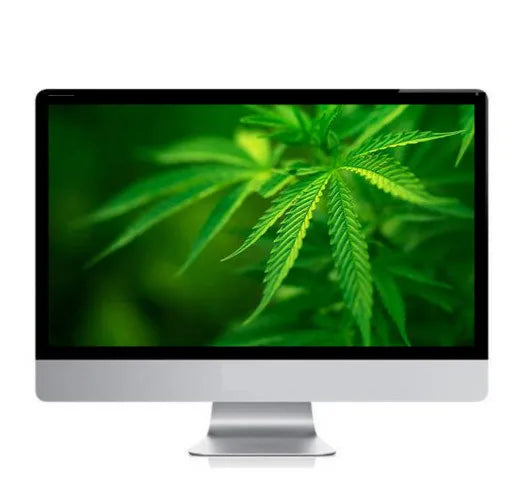 21.5" All-in-One Core i3 8GB Business Desktop