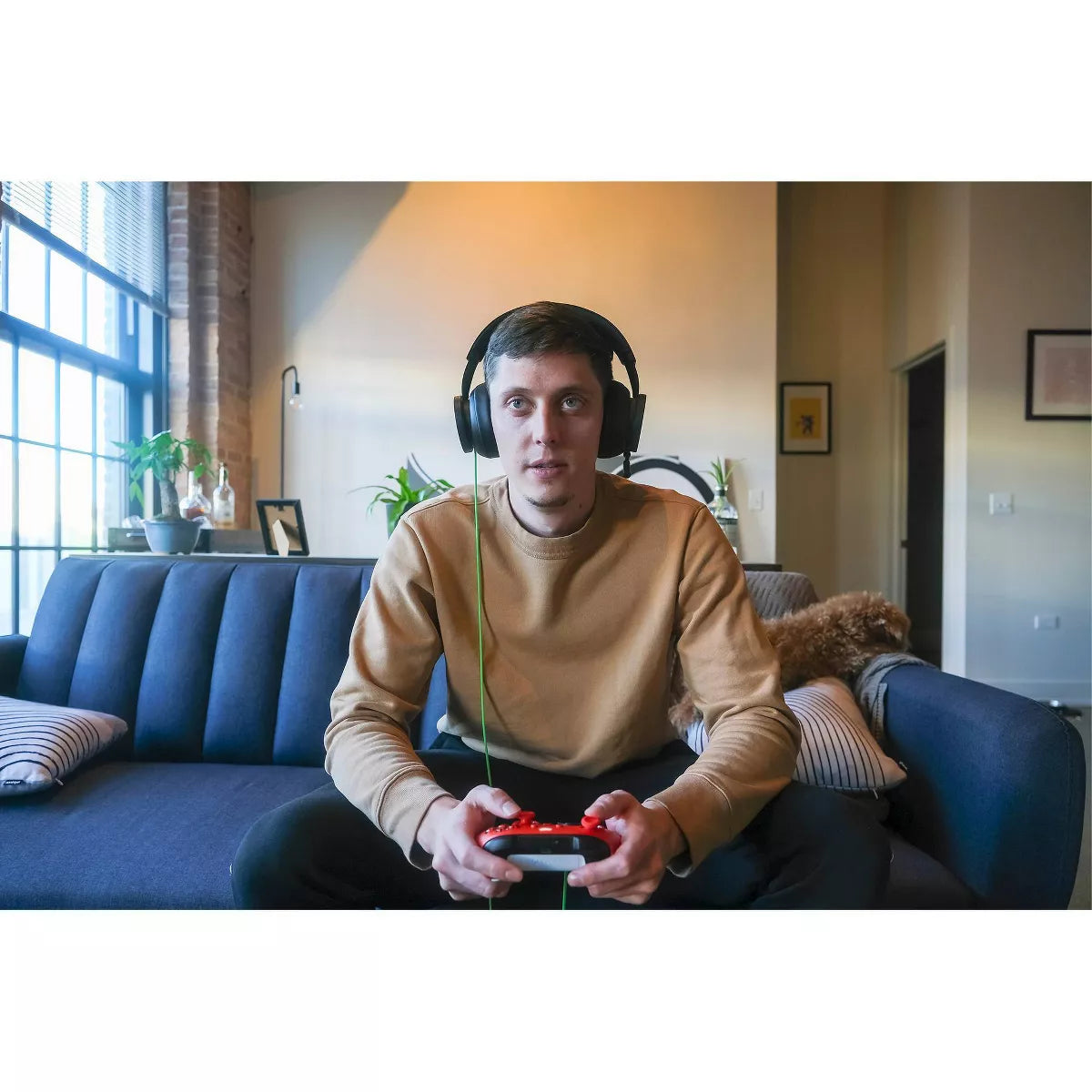 XBOX Stereo Headset for XBOX Series X|S, XBOX One, and Windows Devices